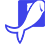 icon5